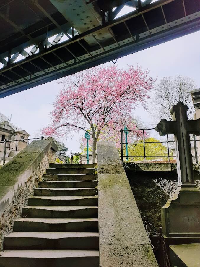 Montmartre Cemetery, Paris