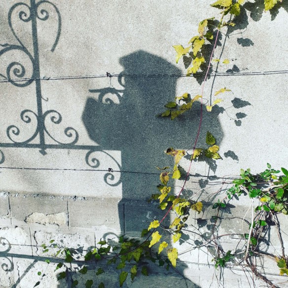 Shadow of a cross on a grave in Charonne Cemetery, Paris